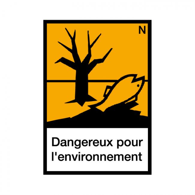 Un logo plus conforme aux finalités du Ministère